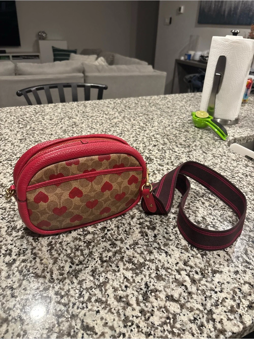 COACH Camera Heart Bag | Red and Brown | Medium